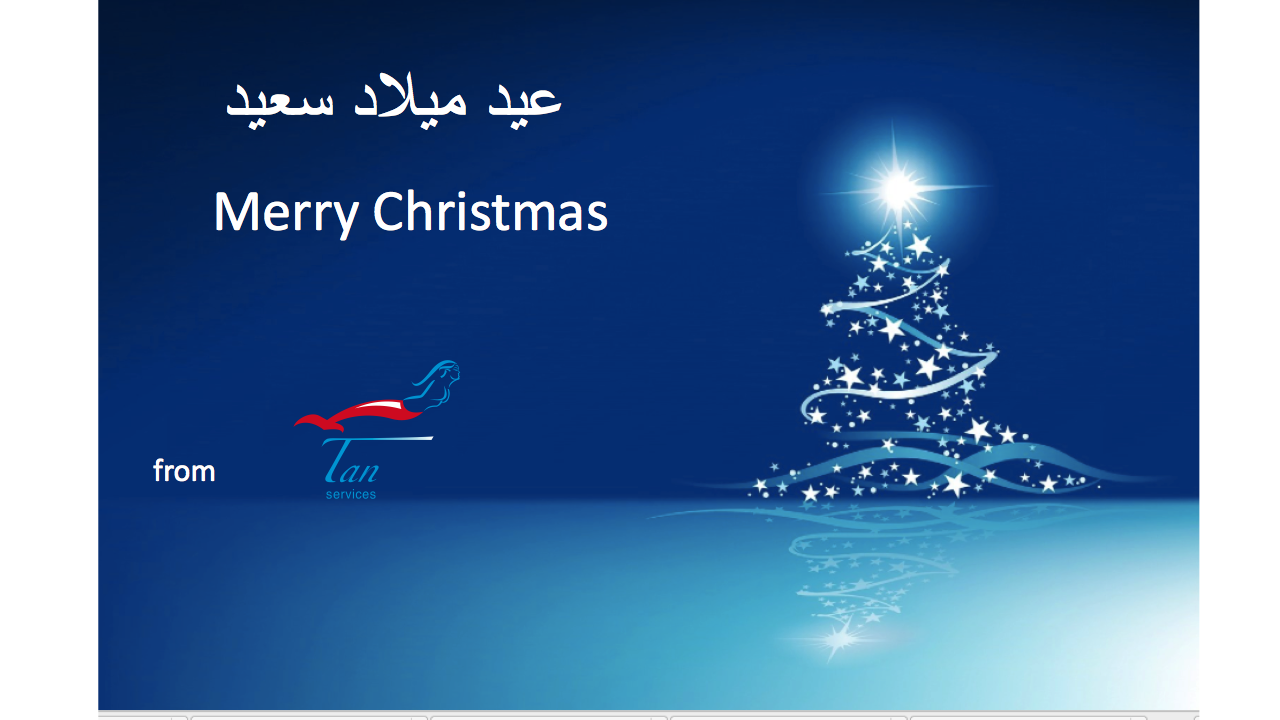 The team wishes you a merry christmas ! - Tan Services