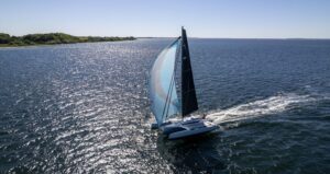Dragonfly 36