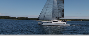 Dragonfly 28