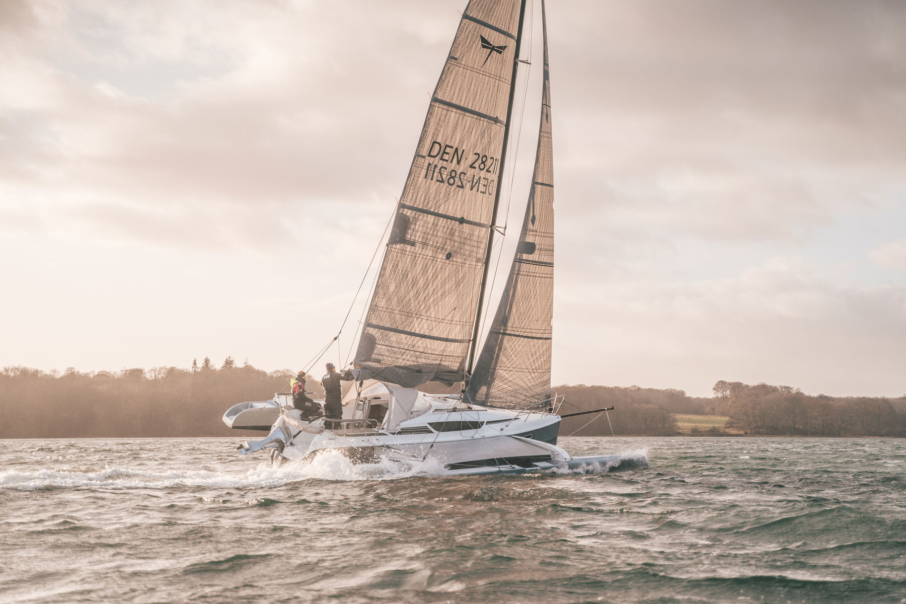 Dragonfly 28